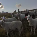 Bio Yak Hof Heinz * Sufers