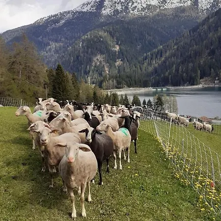 Bio Yak Hof Heinz * Sufers