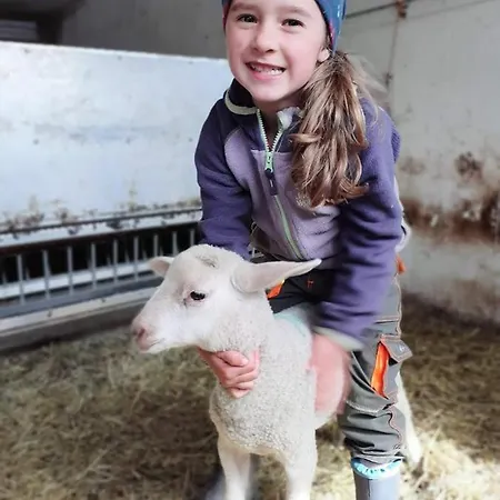 Bio Yak Hof Heinz Sufers