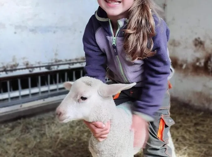 Bio Yak Hof Heinz Sufers