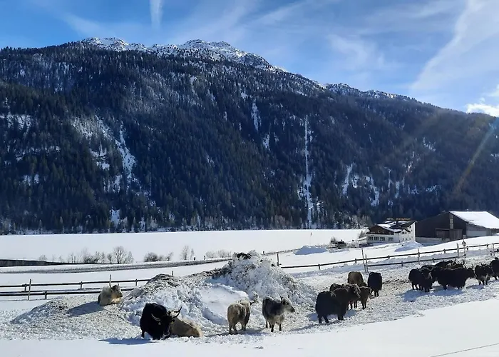 Bio Yak Hof Heinz Apartamento *