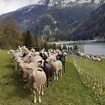 Bio Yak Hof Heinz * Sufers