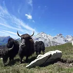 Lejlighed Bio Yak Hof Heinz Sufers