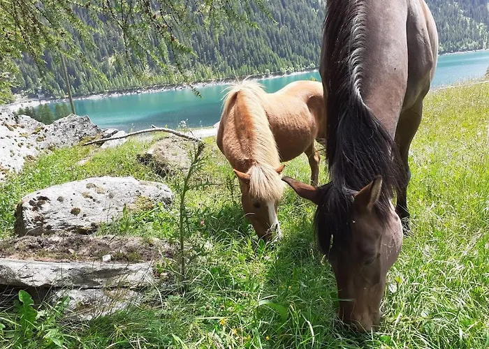 Lejlighed Bio Yak Hof Heinz Sufers