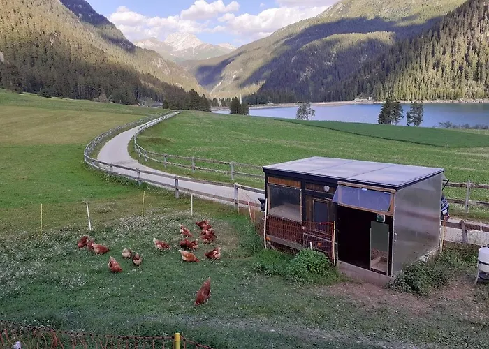 Bio Yak Hof Heinz * Sufers